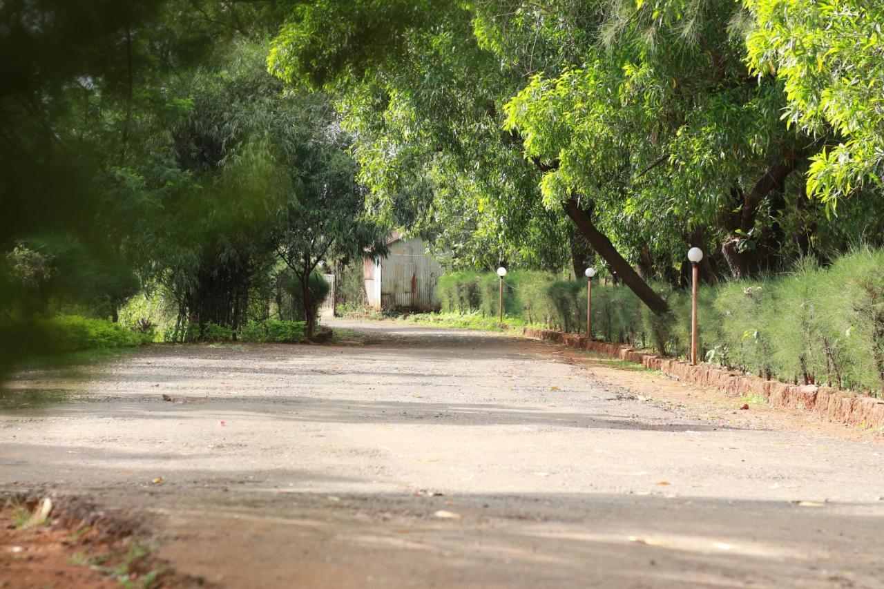 Koyna Lake Resort Koynanagar Dış mekan fotoğraf